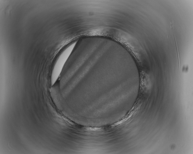 X0000098230164200805081230