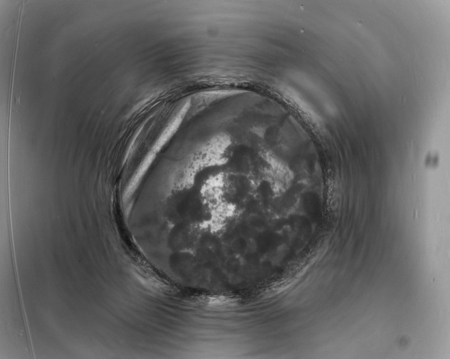 X0000098230165200805081230