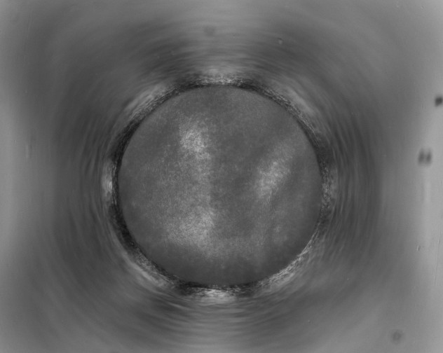 X0000098230166200805081230