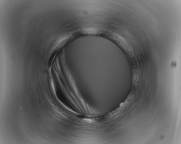 X0000098230167200805081230