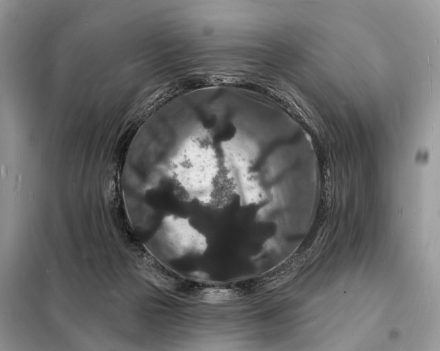 X0000098230169200805081230