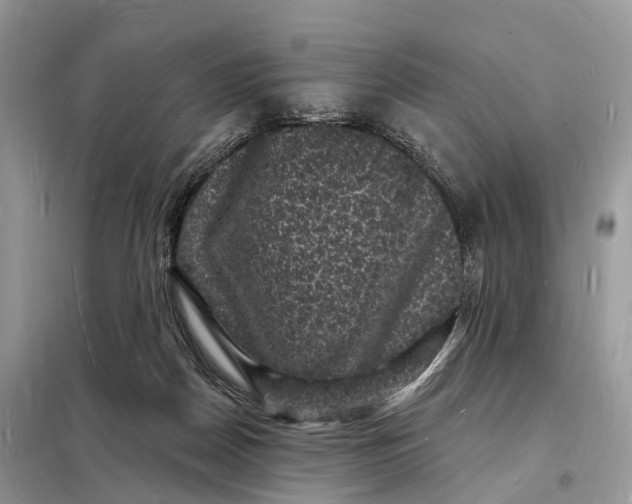 X0000098230170200805081230