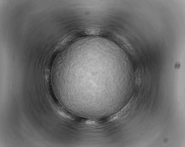 X0000098230171200805081231