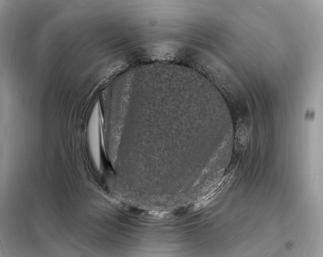 X0000098230172200805081231