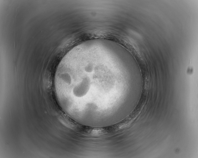 X0000098230173200805081231