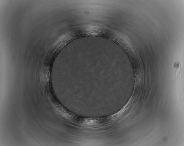 X0000098230174200805081231