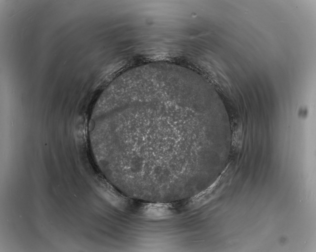 X0000098230179200805081231