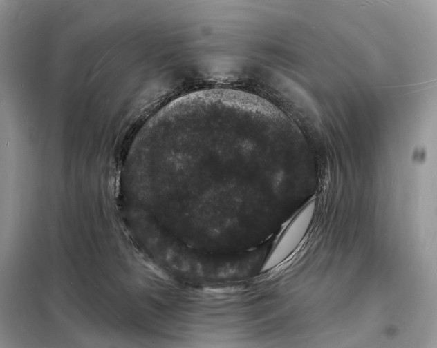 X0000098230180200805081231