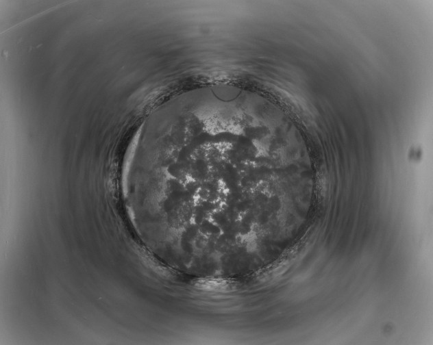 X0000098230181200805081231