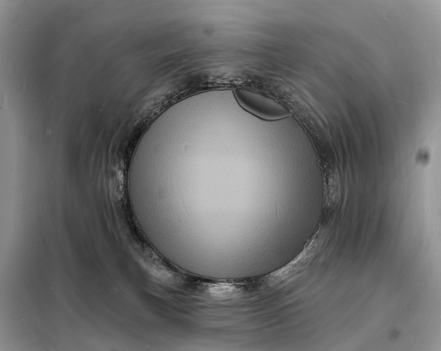 X0000098230183200805081231