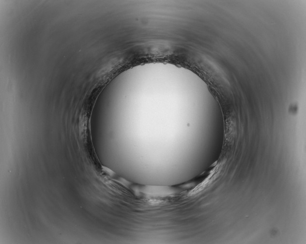 X0000098230184200805081231