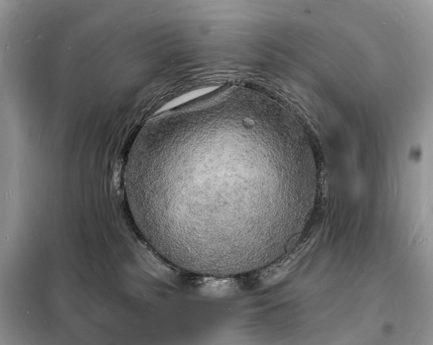 X0000098230185200805081231