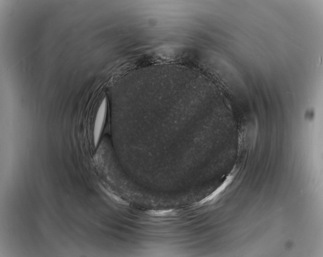 X0000098230186200805081231