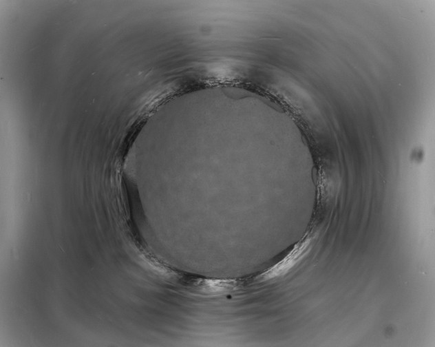 X0000098230188200805081231