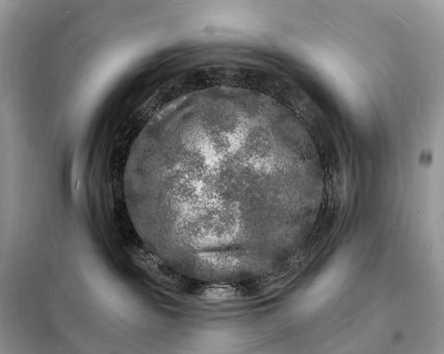 X0000098230189200805081231