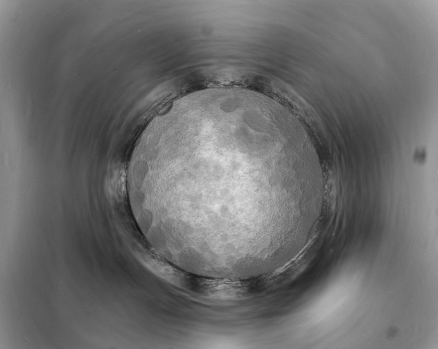 X0000098230191200805081231