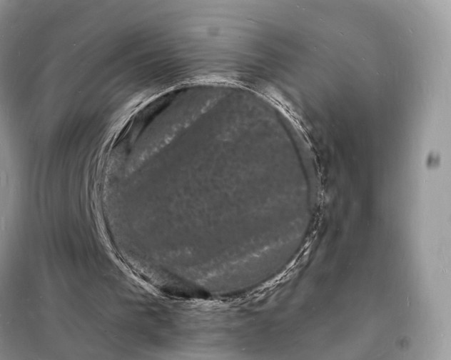 X0000098230193200805081230