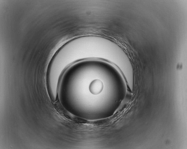 X0000098230195200805081230