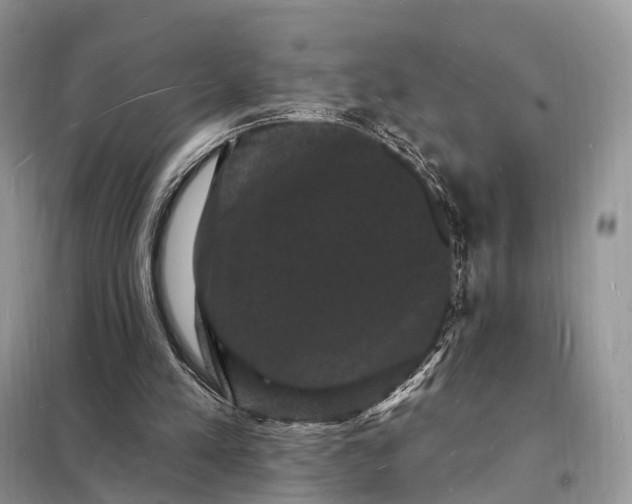 X0000098230197200805081230