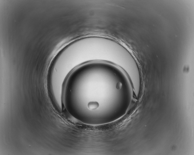 X0000098230199200805081230