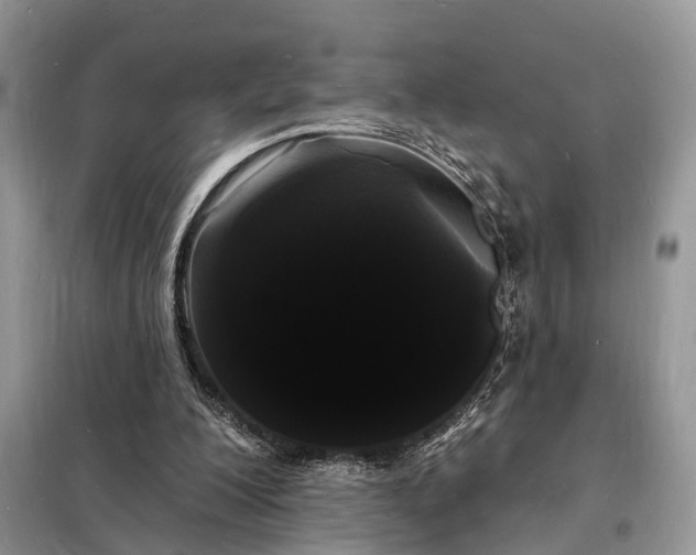 X0000098230200200805081230