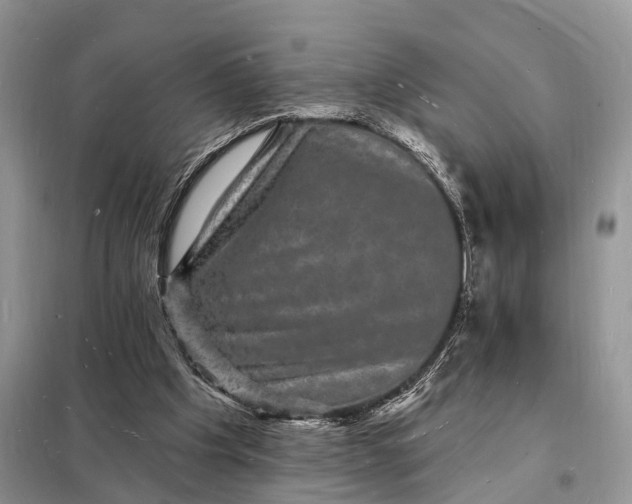 X0000098230201200805081230