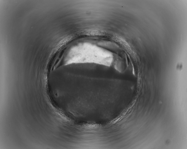 X0000098230202200805081230