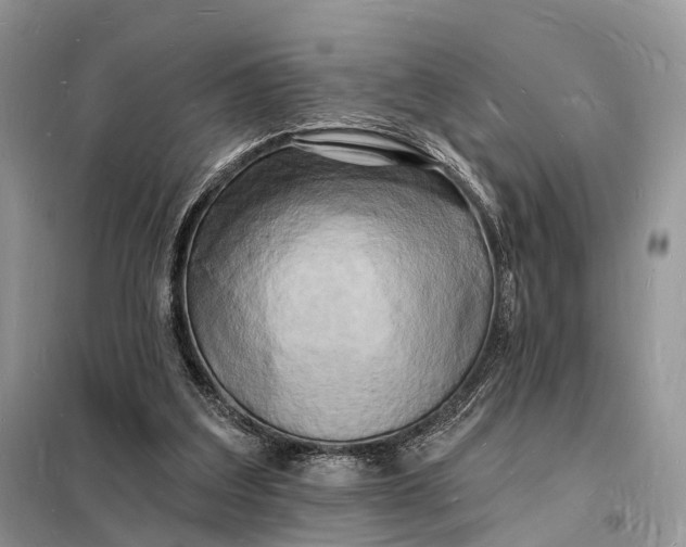 X0000098230203200805081230