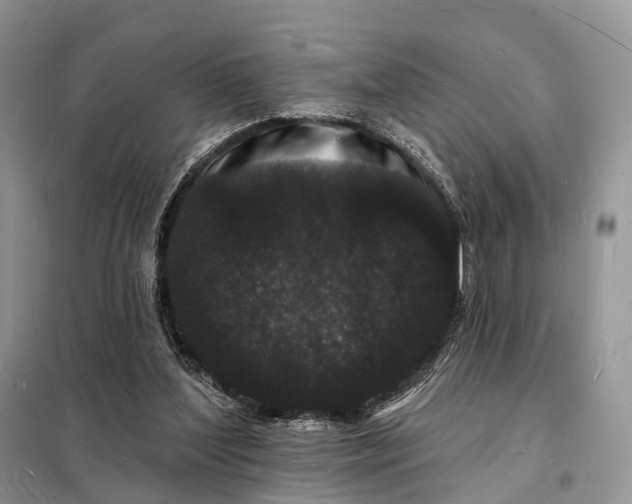 X0000098230204200805081230