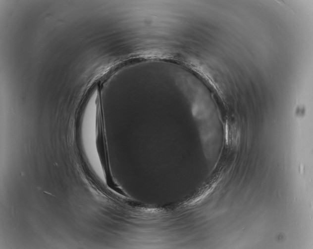 X0000098230205200805081230