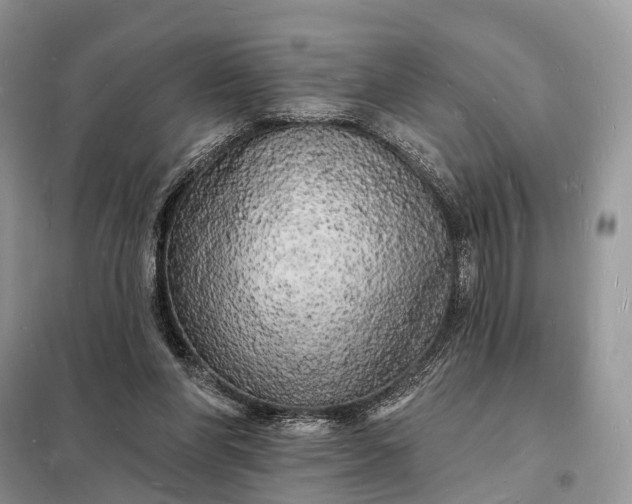 X0000098230206200805081230