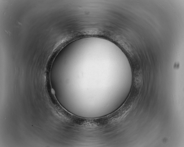 X0000098230207200805081230