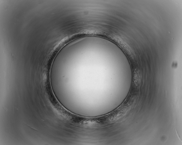 X0000098230208200805081230