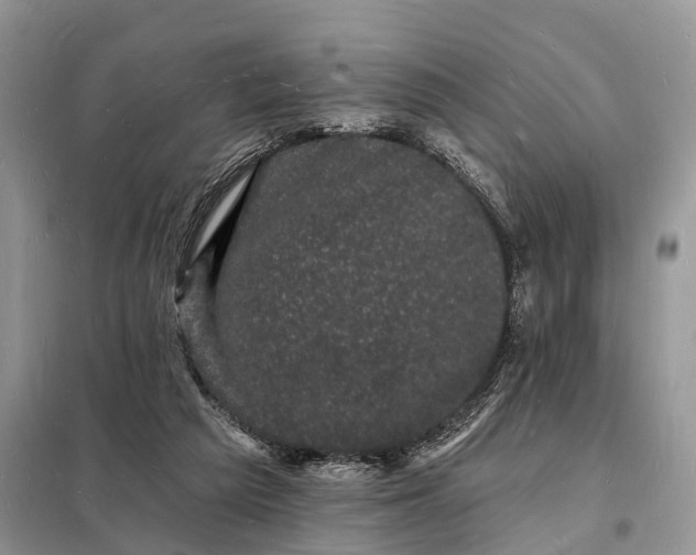 X0000098230209200805081230