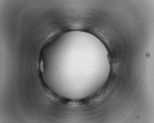 X0000098230211200805081230