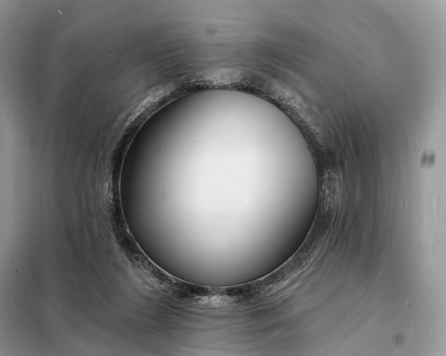 X0000098230212200805081230