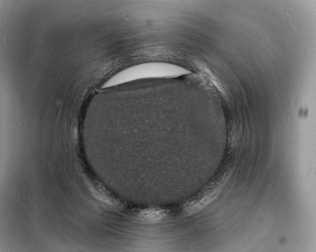 X0000098230213200805081230