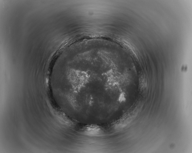 X0000098230214200805081230