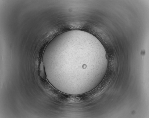 X0000098230215200805081230