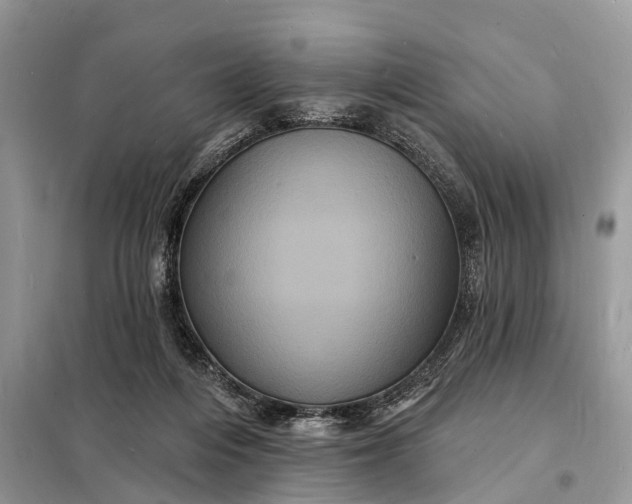 X0000098230216200805081230