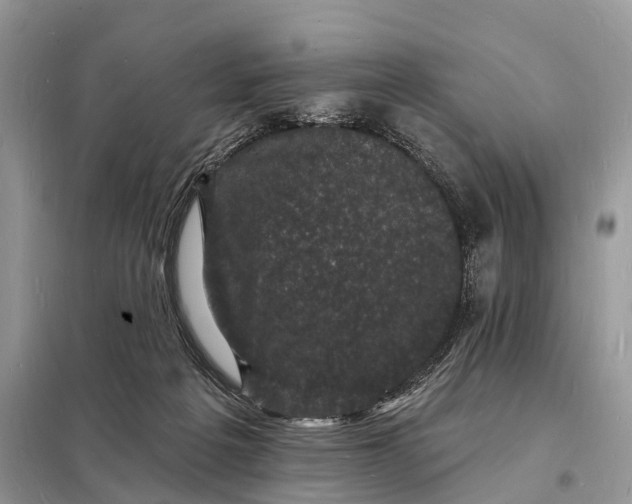 X0000098230217200805081230