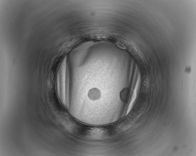 X0000098230218200805081230