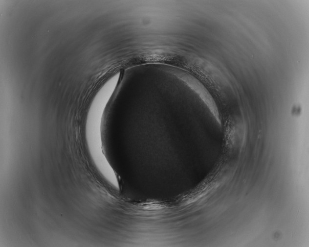 X0000098230219200805081230