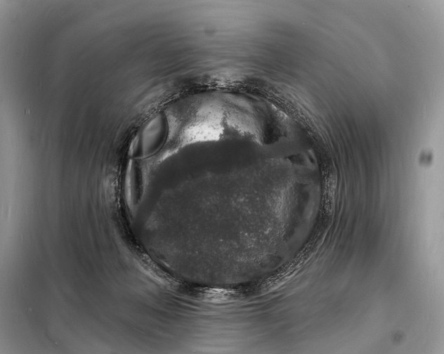 X0000098230222200805081230