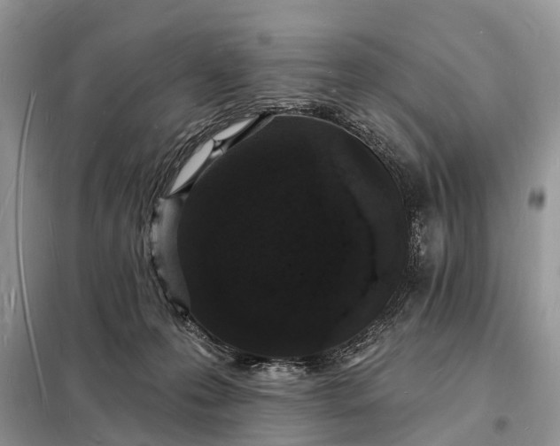 X0000098230223200805081230