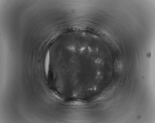 X0000098230224200805081230