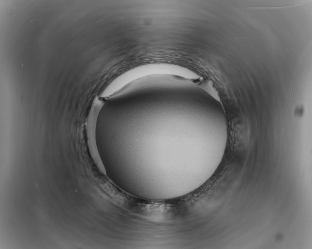 X0000098230225200805081230