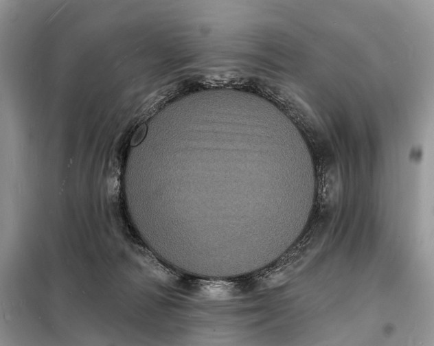 X0000098230226200805081230