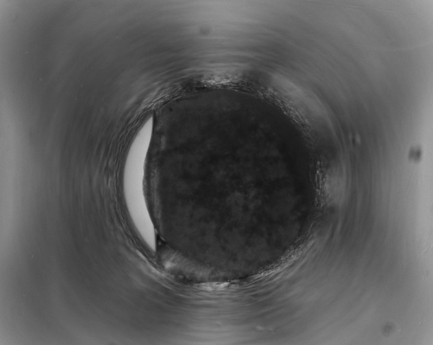 X0000098230227200805081230