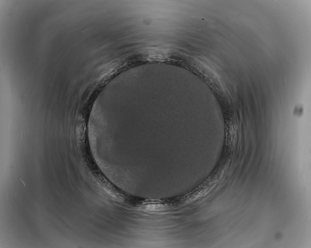 X0000098230228200805081230